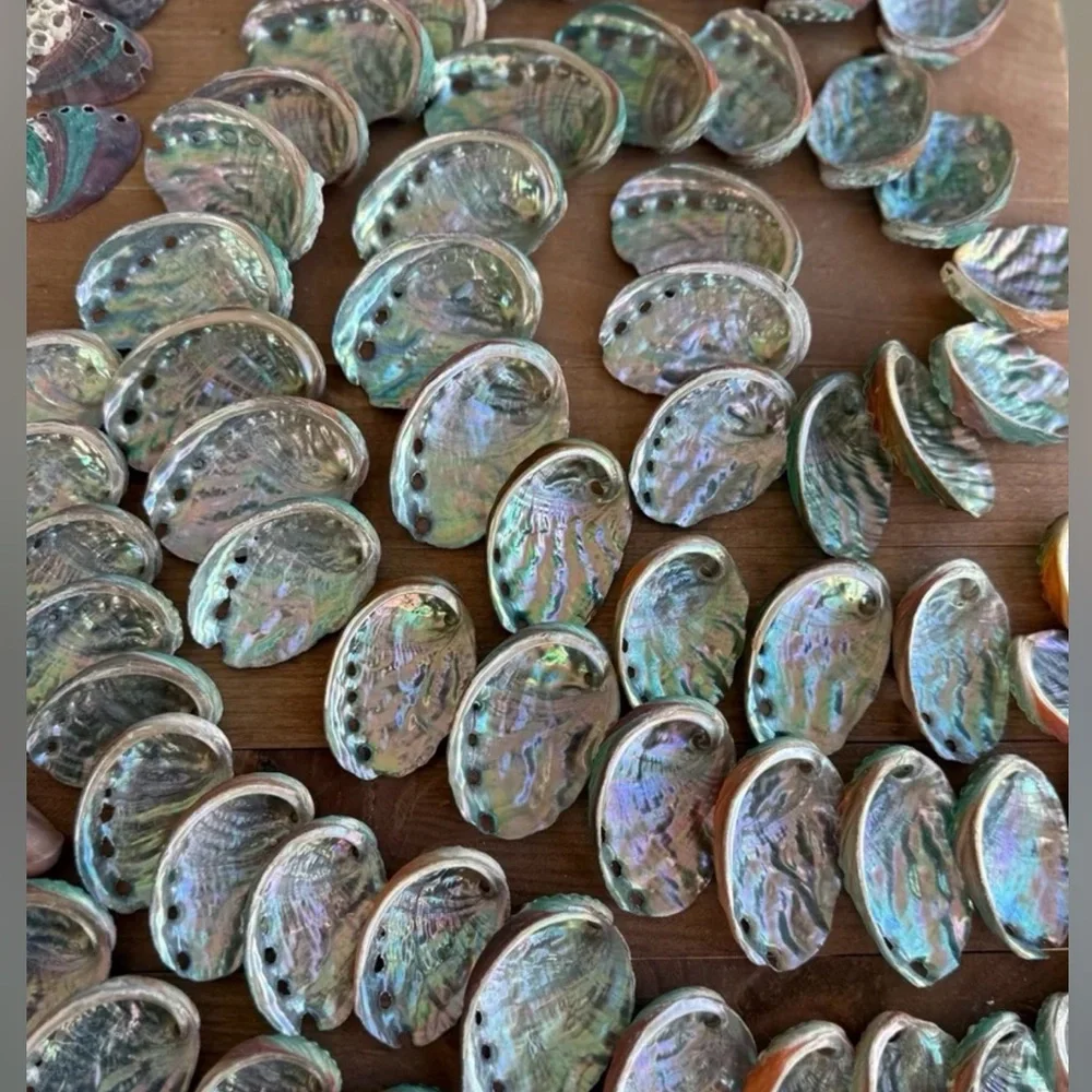Real ABALONE Shells Polished Nautical DIY Crafting Decor Coastal Mixed Bulk lot